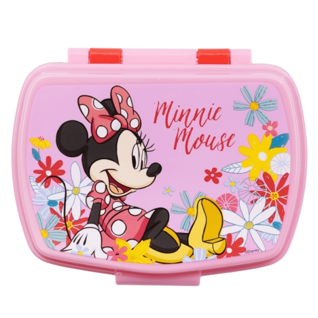 Minnie mouse lunch box hotsell